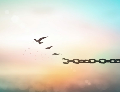 Support and Resources for Human Trafficking Survivors: Empowering a New Beginning